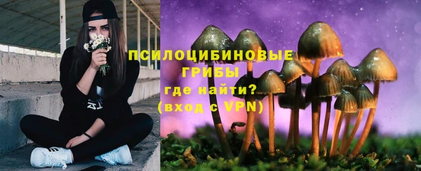 альфа пвп Горнозаводск