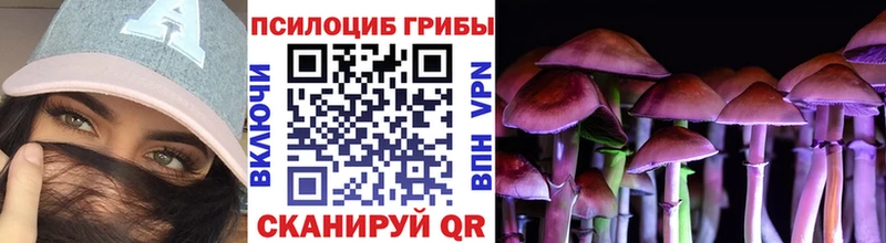 Купить где  Истра  Псилоцибиновые грибы Cubensis 